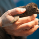 Illustration for article titled Hang Out With This Baby Penguin to Learn About His Endangered Species